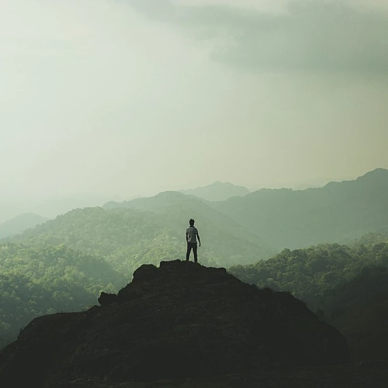 Crafting an Effective Training Schedule for HR Transformation