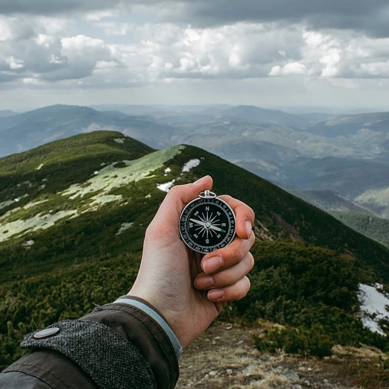 The Evolving Role of the Chief Impact Officer in Human Resources Transformation