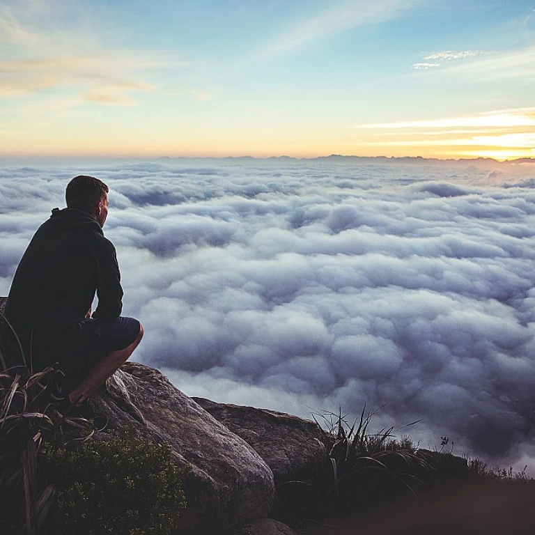 Achieving Fairness: The Role of Internal Equity in HR Transformation
