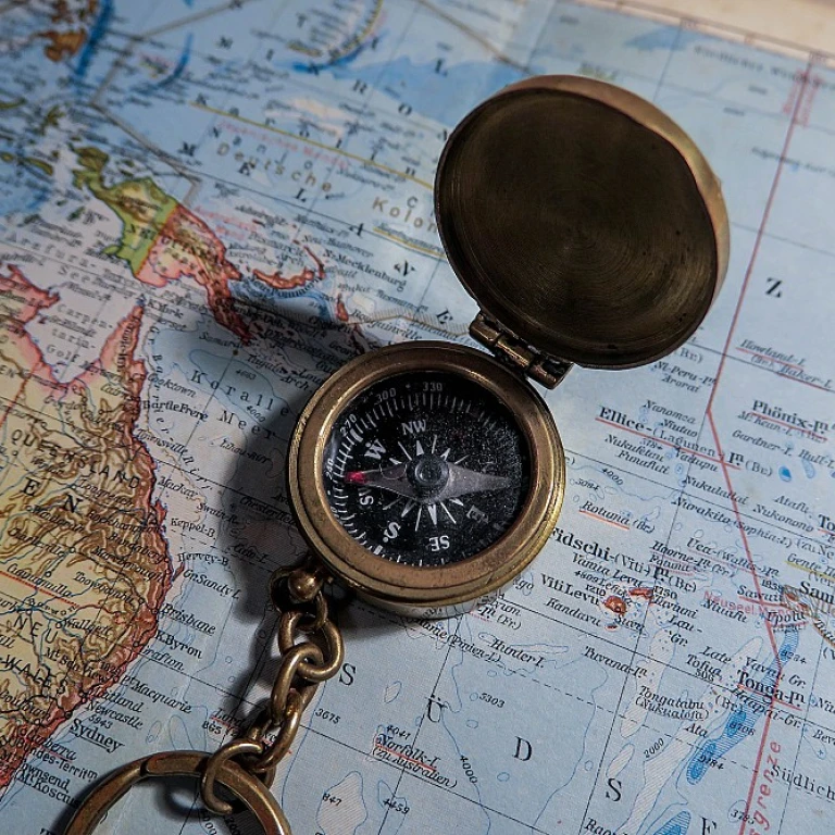 Understanding Employee Rights in HR Investigations