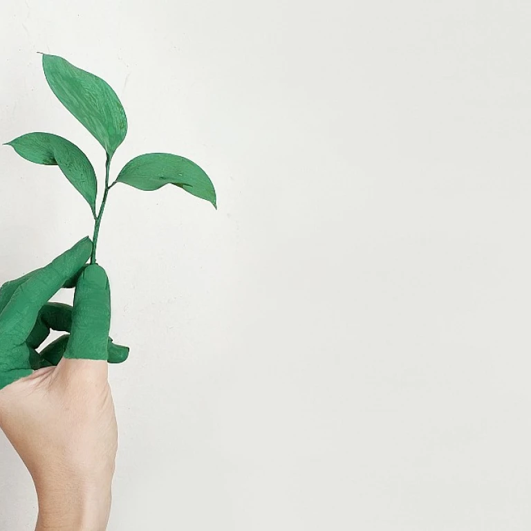 Crafting Effective 360 Assessment Questions for HR Transformation