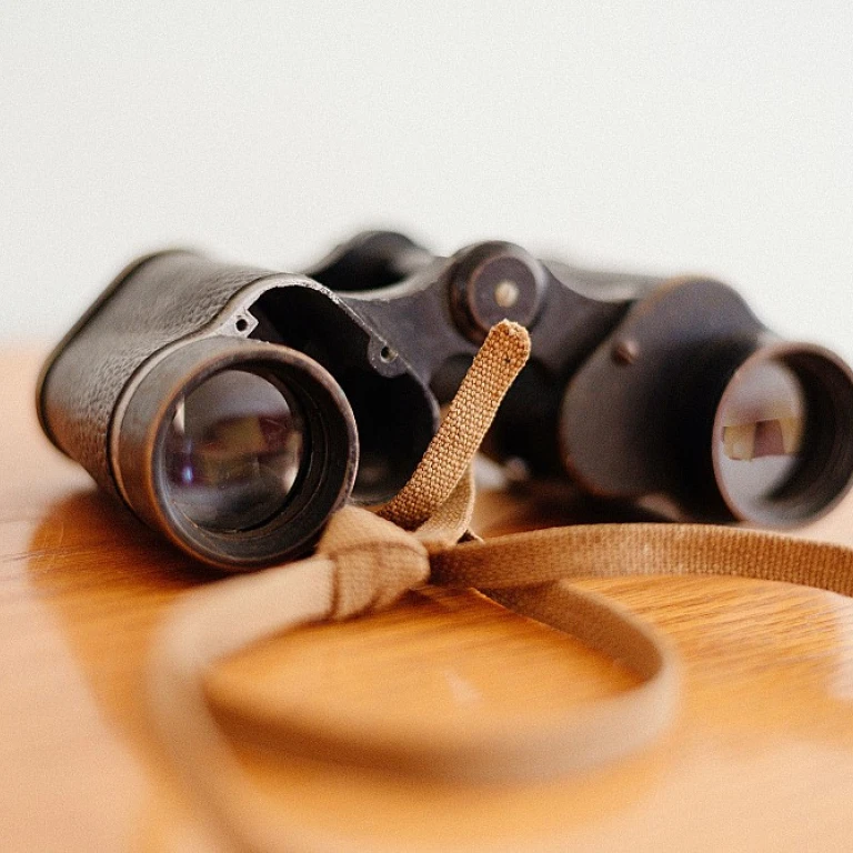Harnessing Workforce Intelligence for HR Transformation