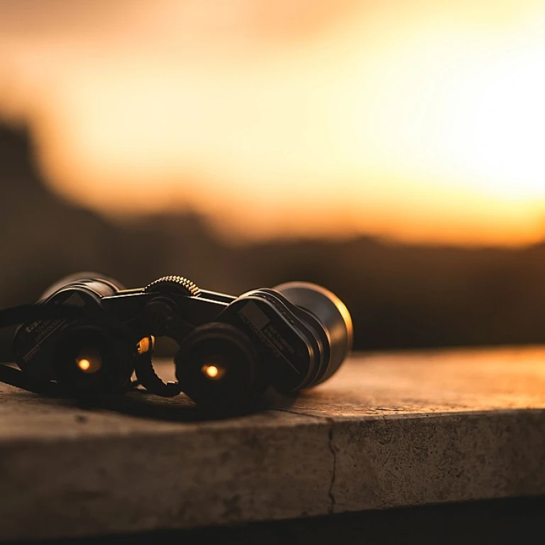 Exploring the Role of Adams Keegan in Human Resources Transformation