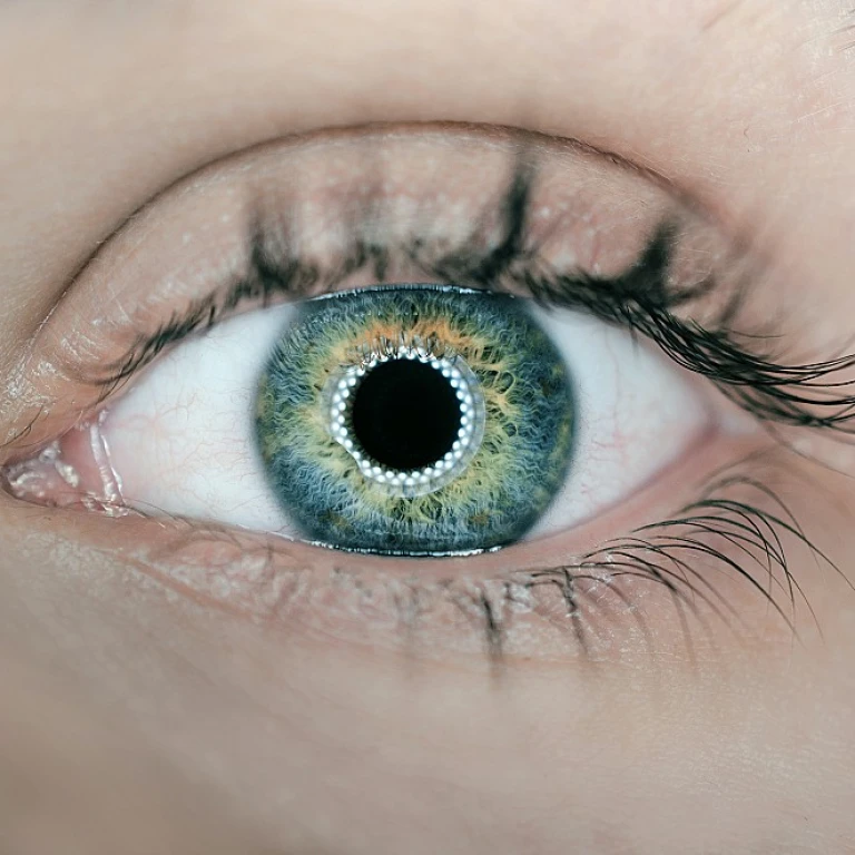 Optimizing Your MSP Sales Team Structure: Best Practices for Success