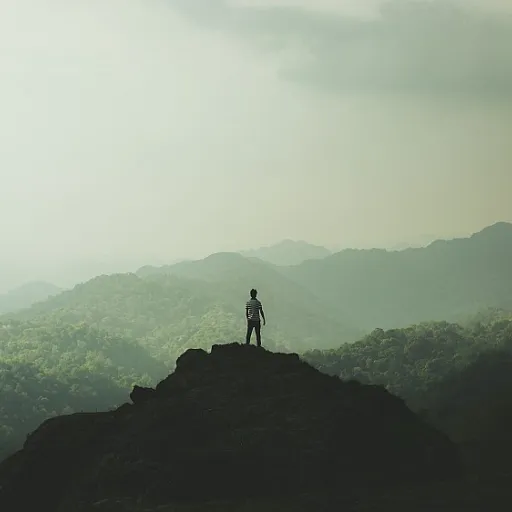 How online collaborative productivity software is reshaping human resources transformation